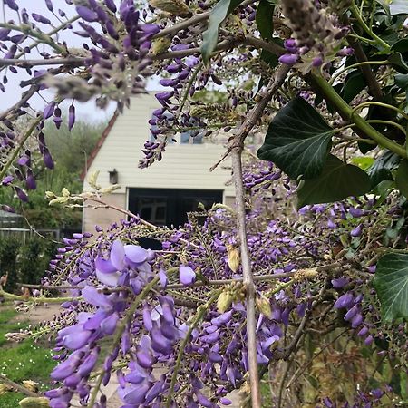 De Bosrand Grenzend Aan Het Bos Villa กัสตรีกุม ภายนอก รูปภาพ