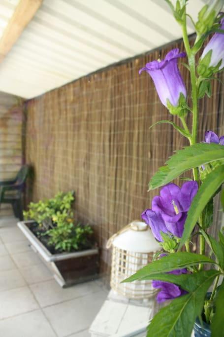 De Bosrand Grenzend Aan Het Bos Villa กัสตรีกุม ภายนอก รูปภาพ