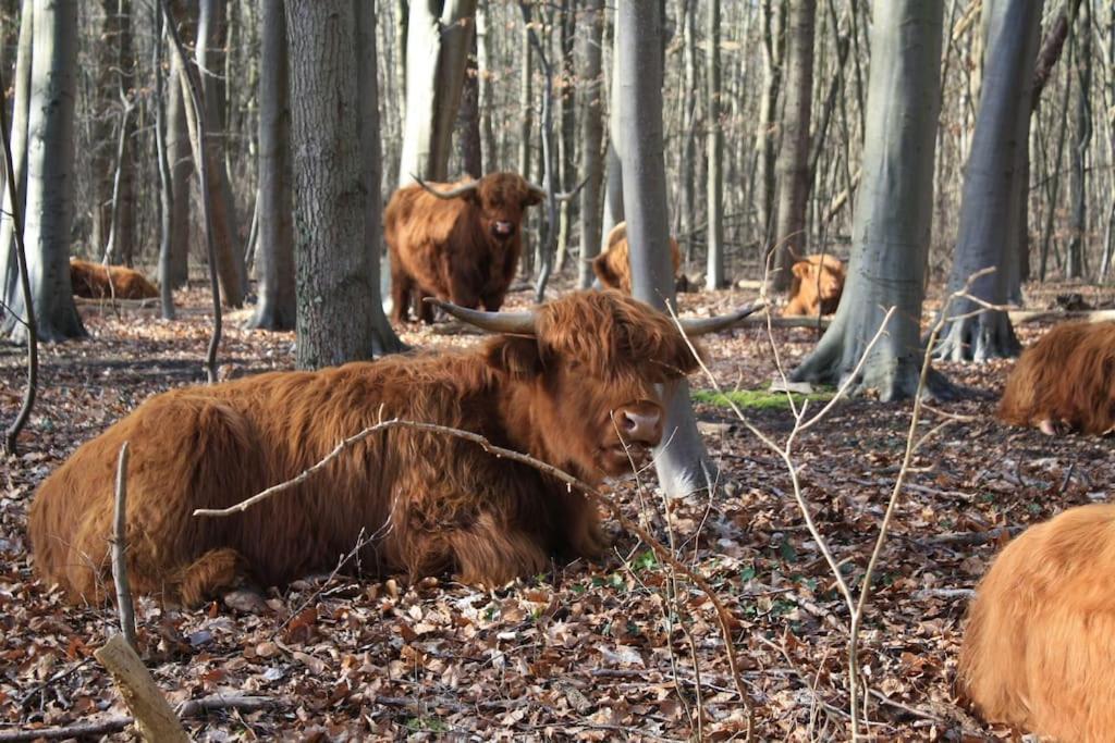 De Bosrand Grenzend Aan Het Bos Villa กัสตรีกุม ภายนอก รูปภาพ